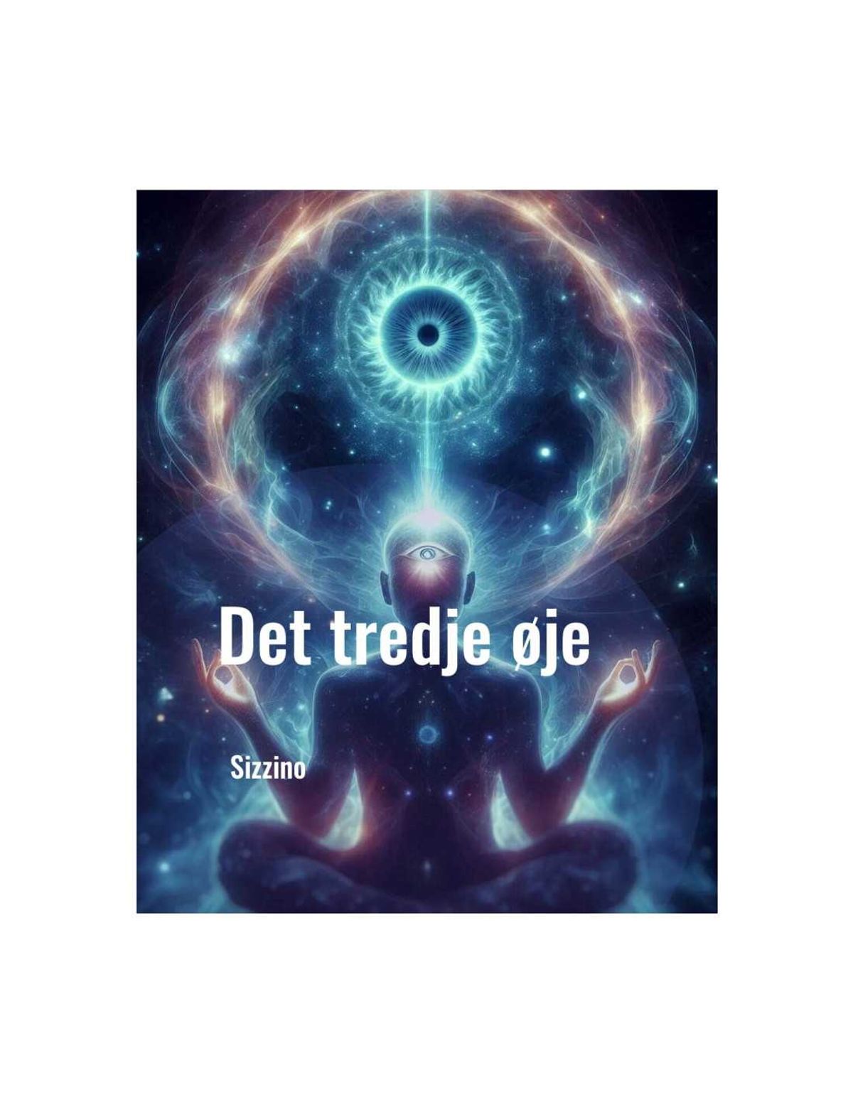 Det tredje øje (lydbog)