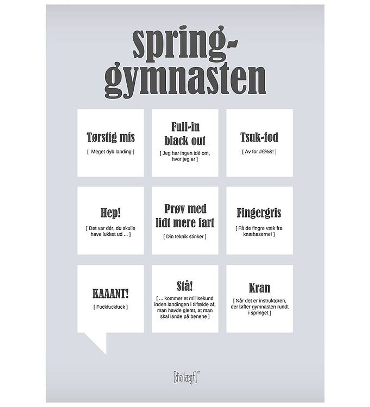 Dialægt Plakat - 30x42 - Spring-Gymnasten