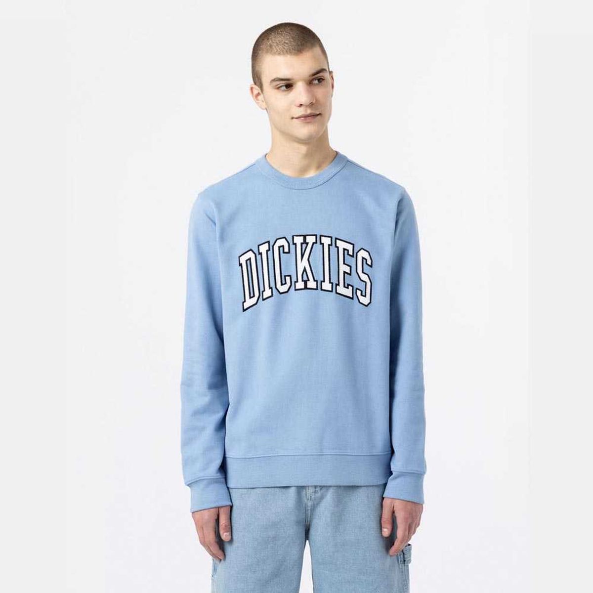 Dickies Aitkin Sweatshirt Allure