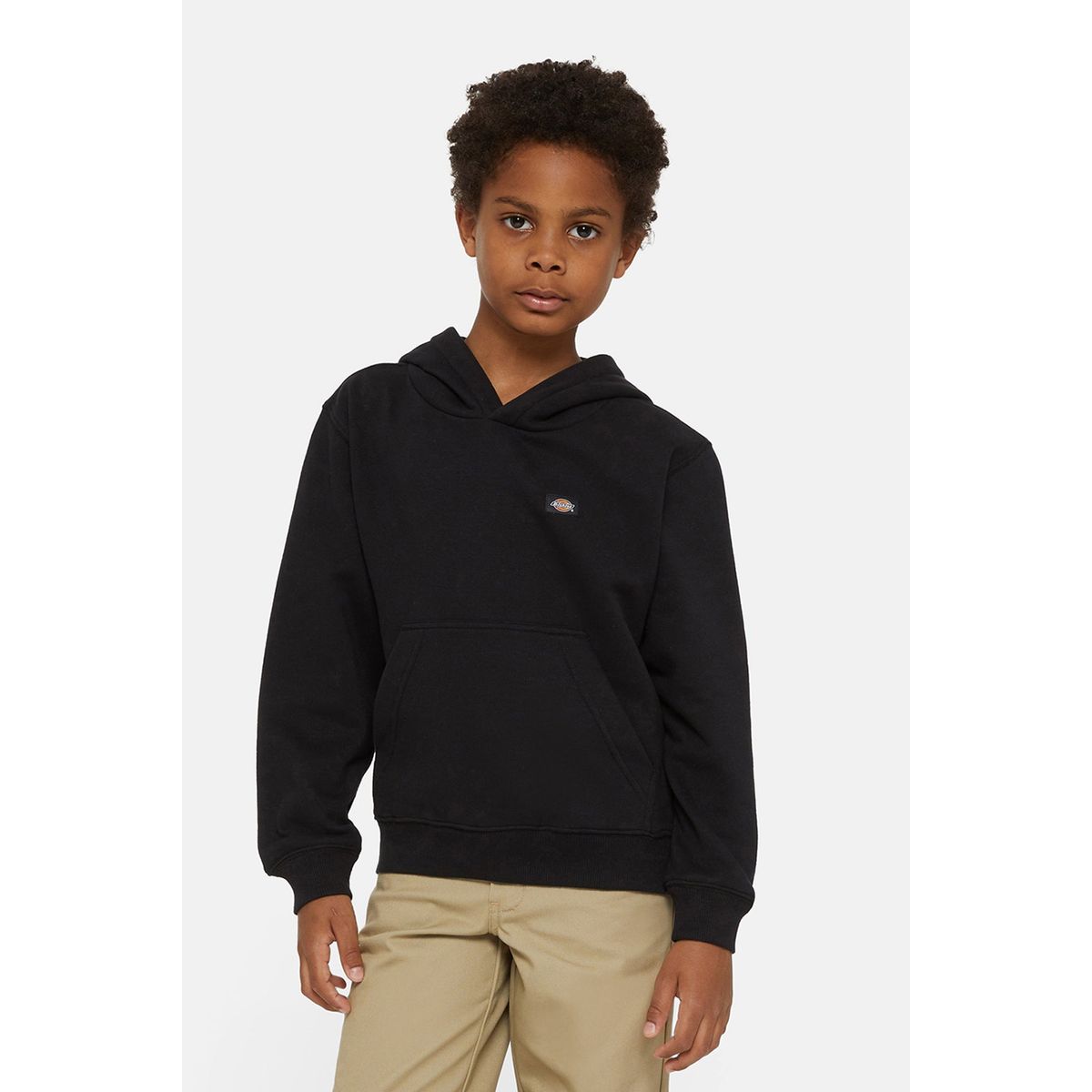 Dickies Hoodie Oakport