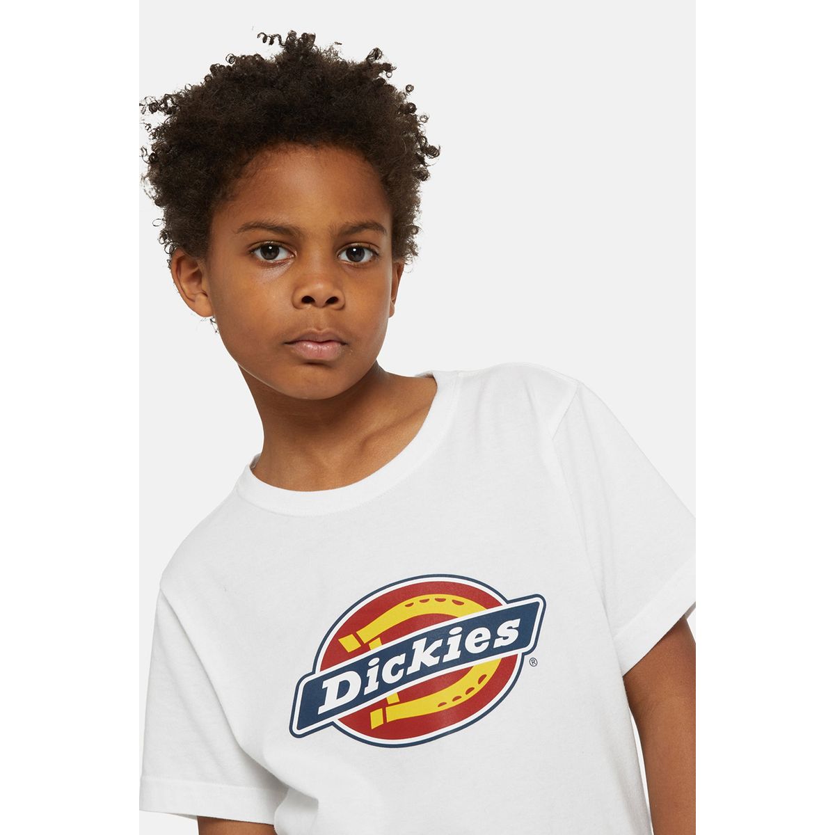 Dickies Tee Icon Logo