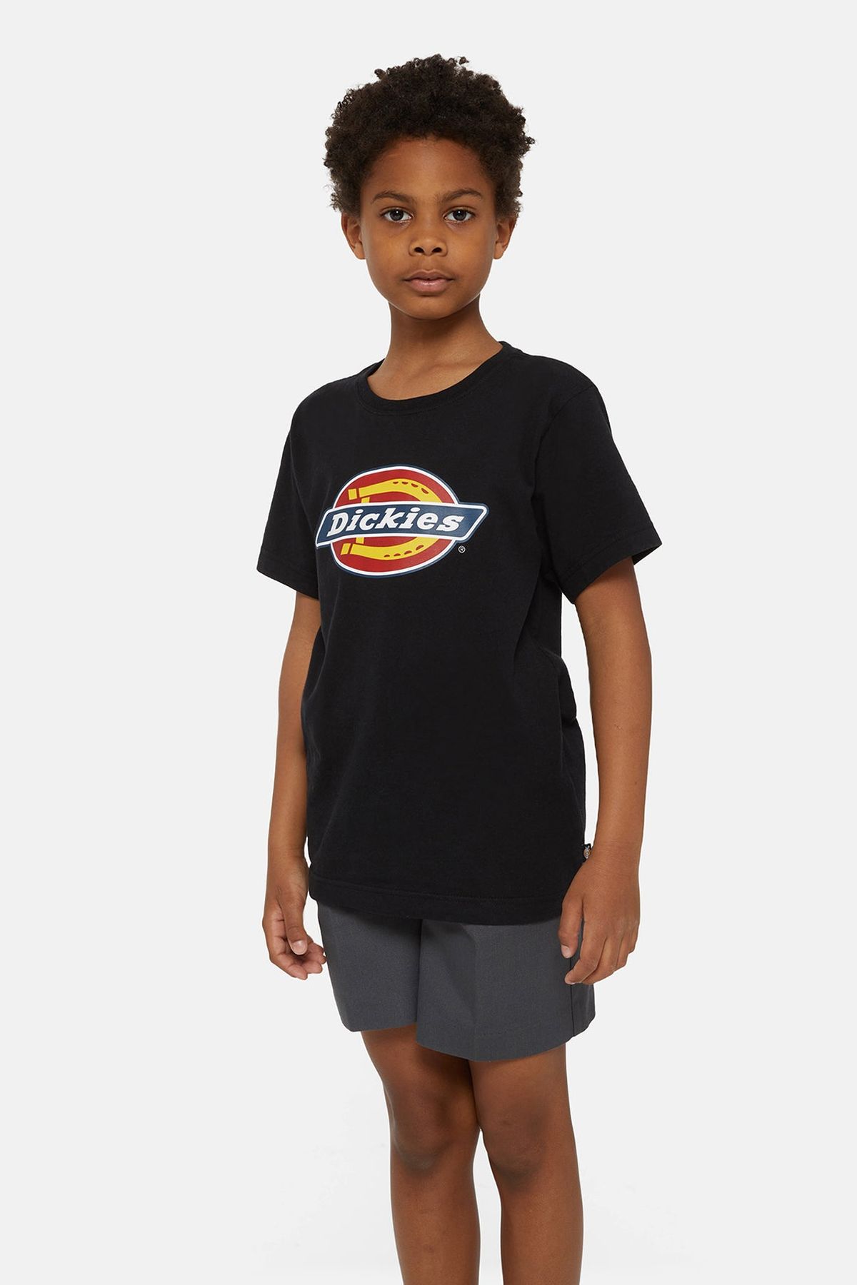 Dickies Tee Icon Logo