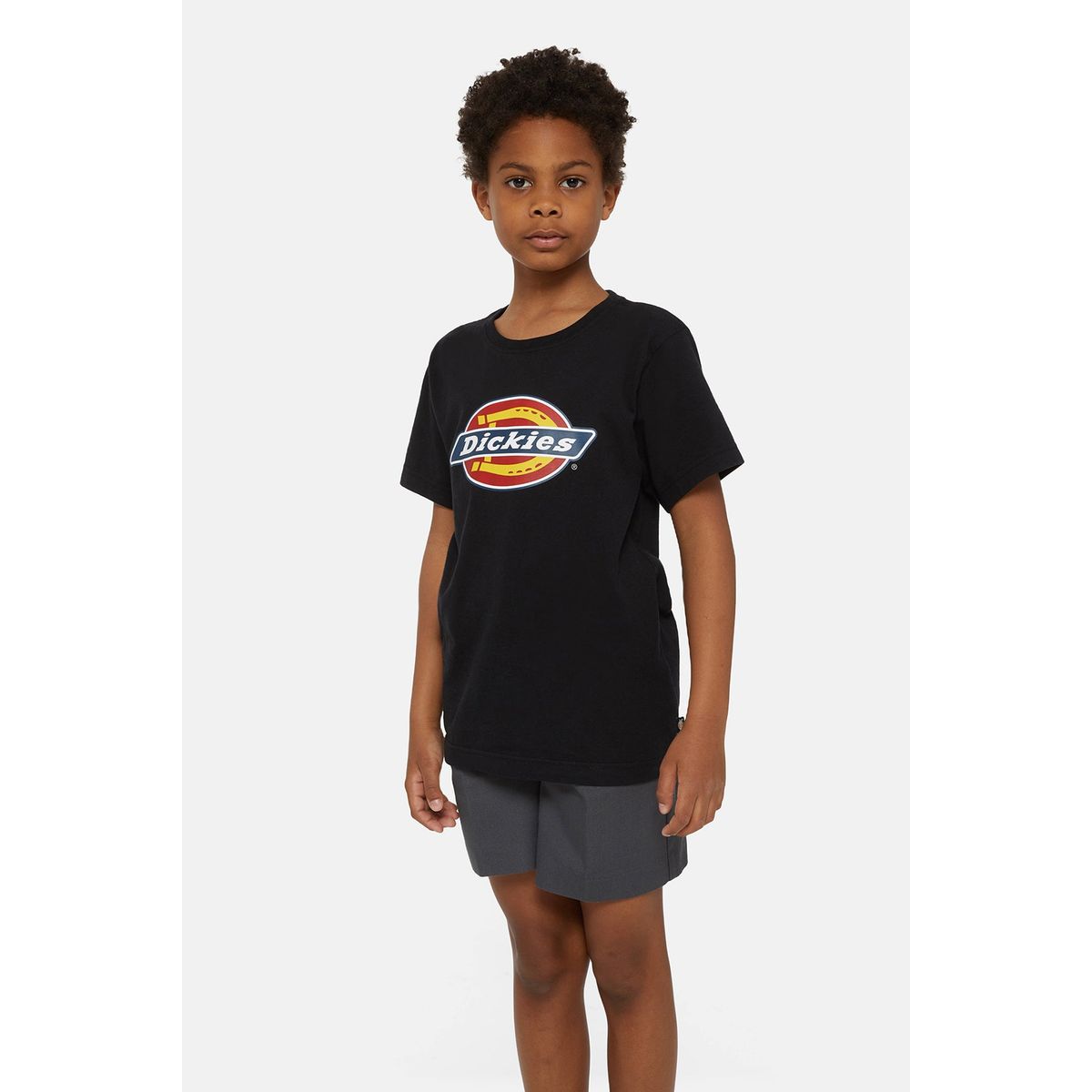 Dickies Tee Icon Logo