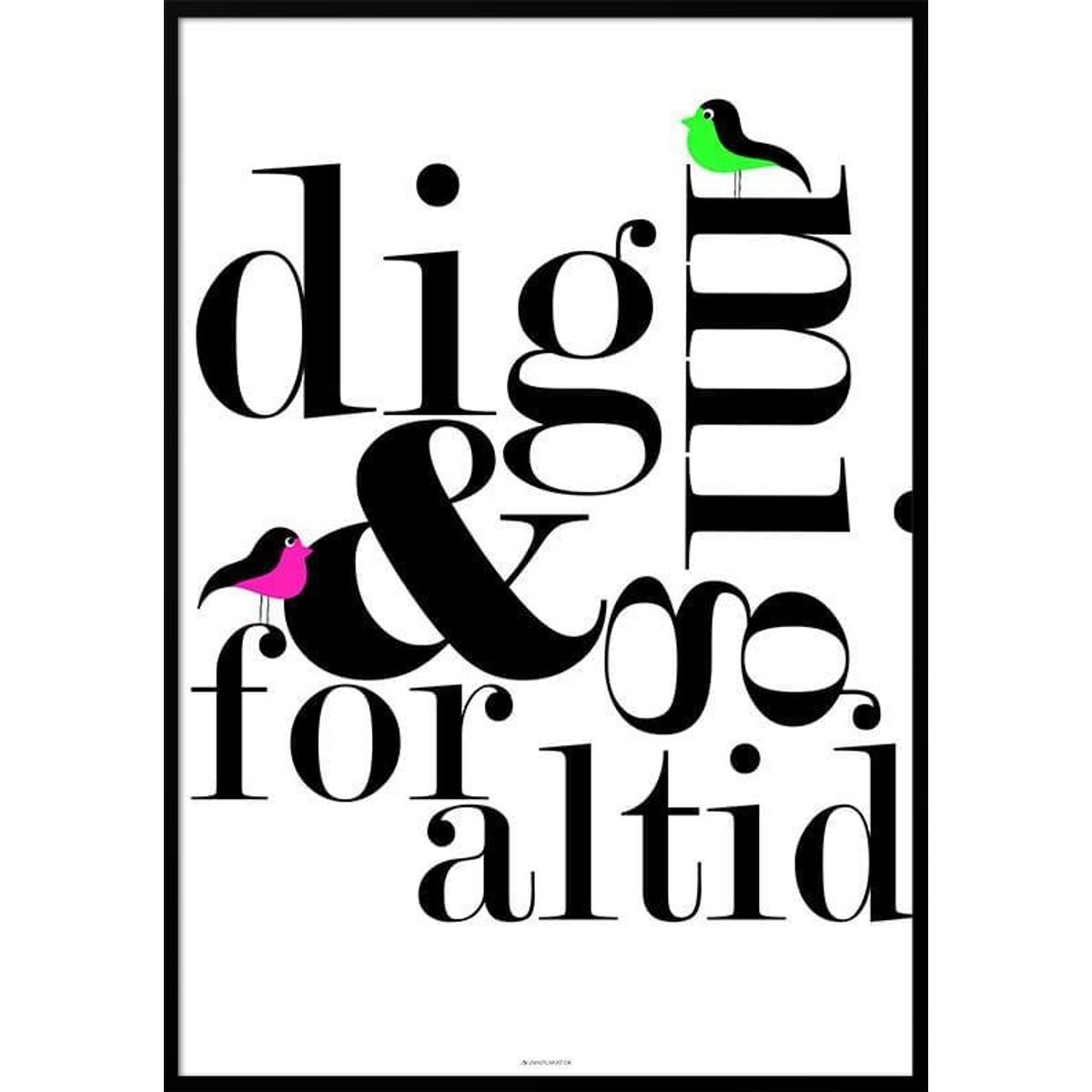 Dig og mig - Birds plakat