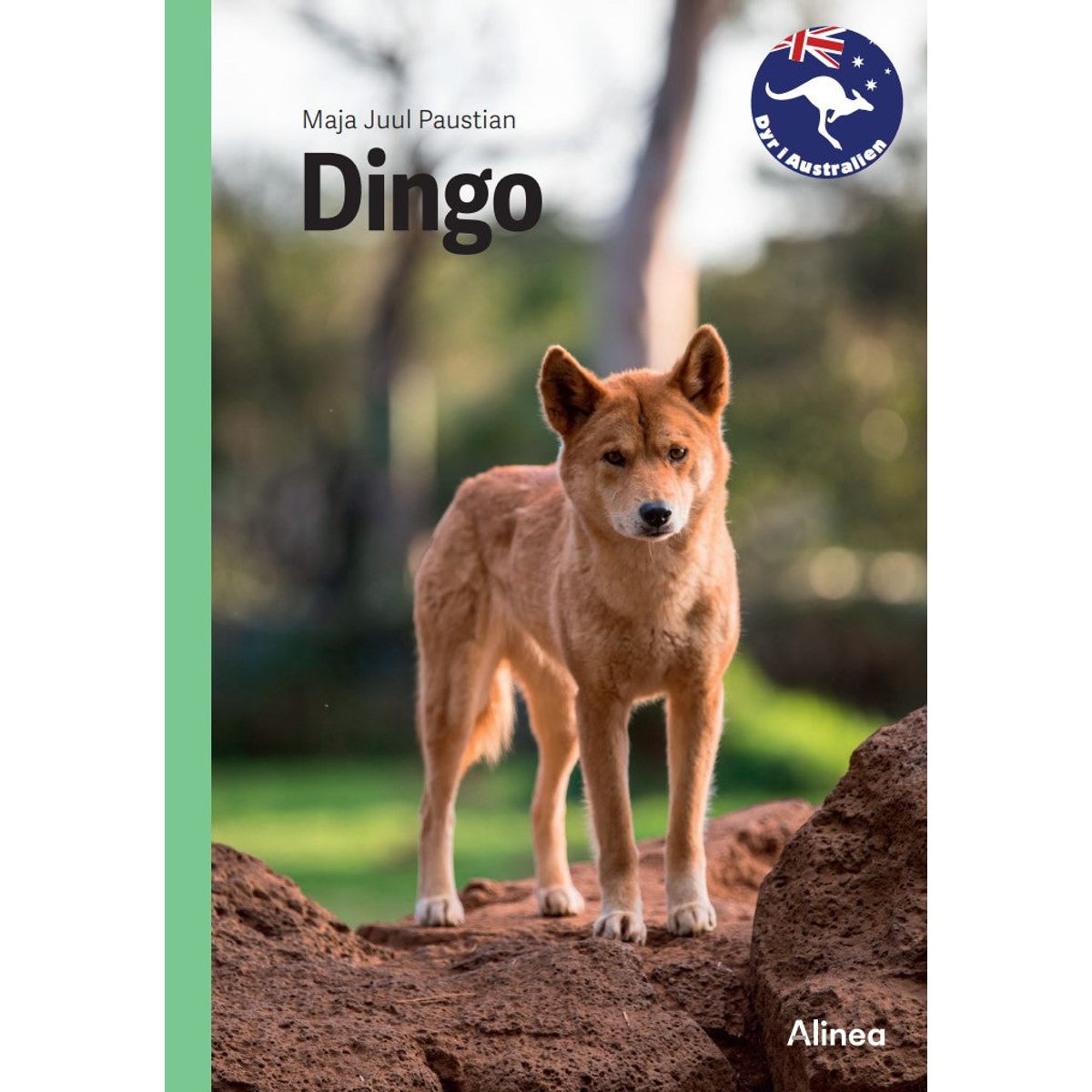 Dingo, Grøn Fagklub