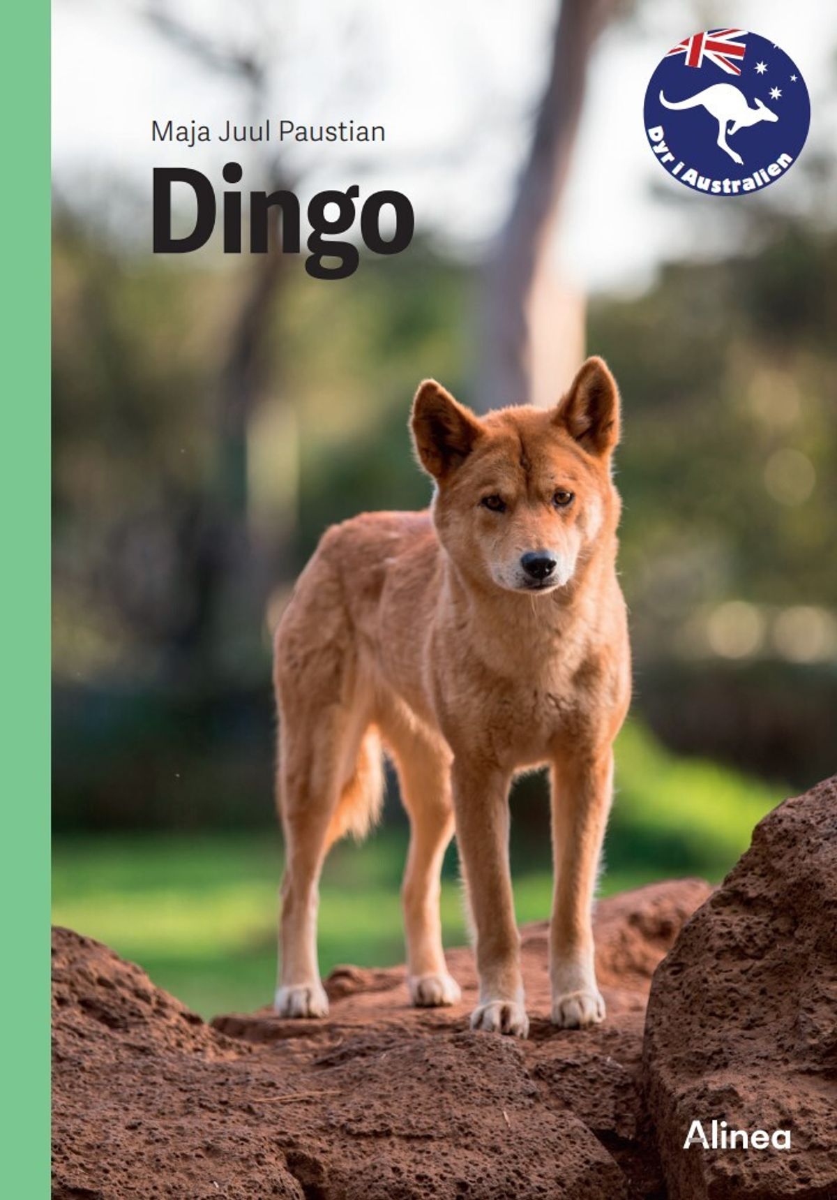 Dingo, Grøn Fagklub - Maja Juul Paustian - Bog