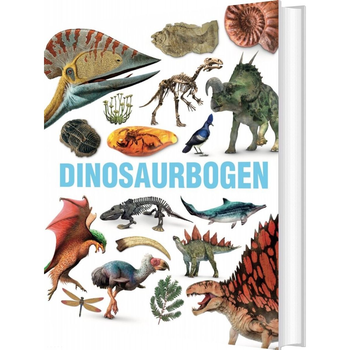 Dinosaurbogen - Diverse - Bog