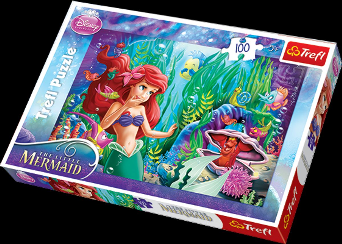 Disney Ariel - Hide and Seek - 100 brikker