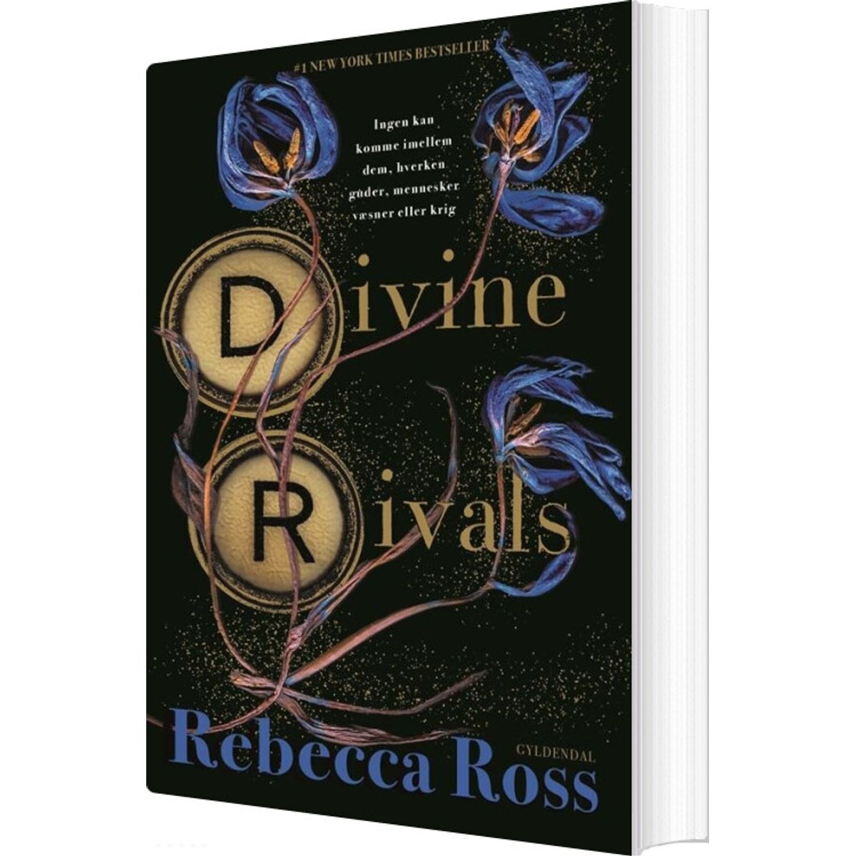 Divine Rivals - Rebecca Ross - Bog