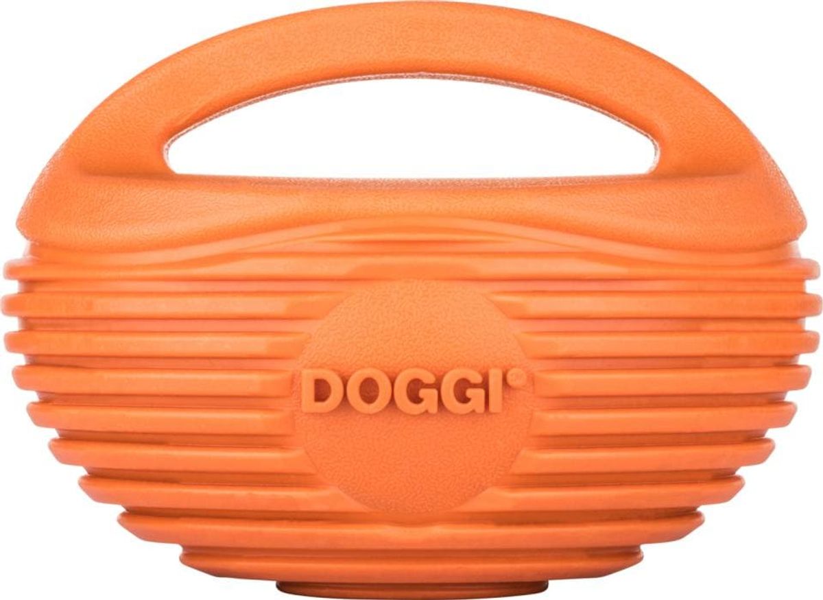 DOGGI Rugby bold