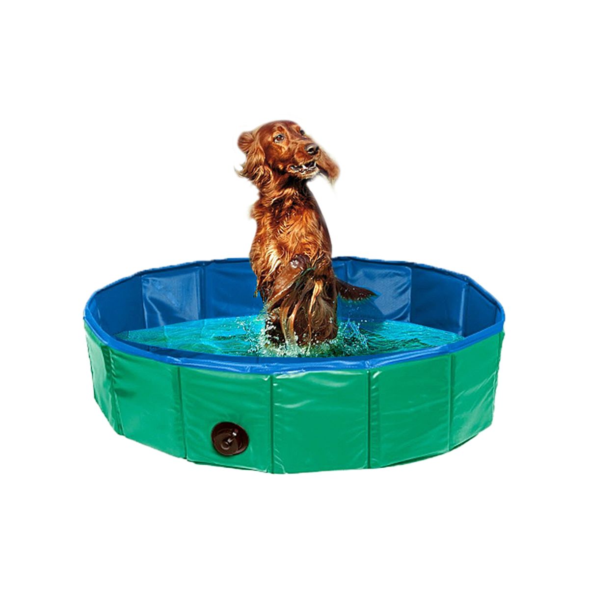 Doggy hunde Pool-S