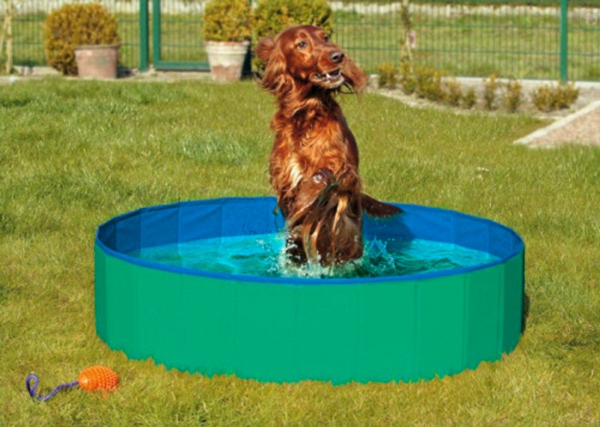 Doggy Pool. Hundepool. Grøn/Blå.