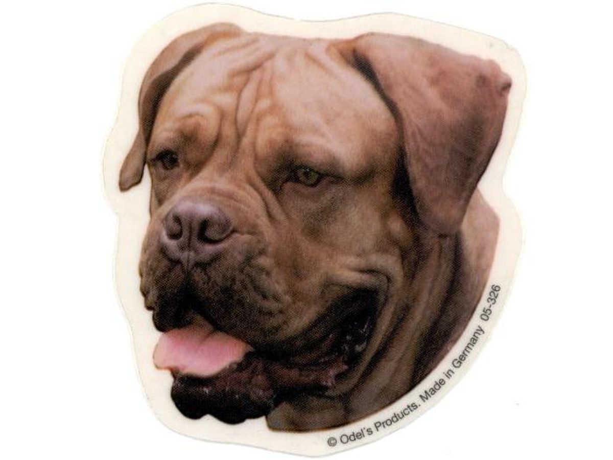 Dogue de Bordeaux, hv. Vælg: klistermærke, nøglering, broche, slipsenål, mm.