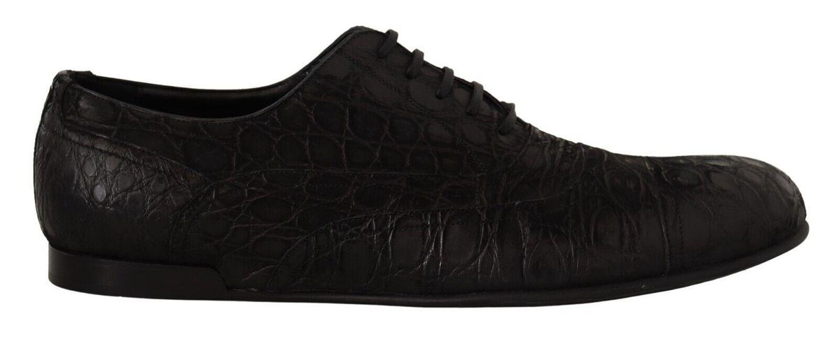 Dolce & Gabbana Elegant Exotic Leather Oxford Sko