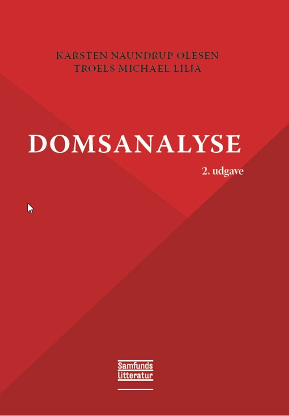 Domsanalyse 2. Udgave