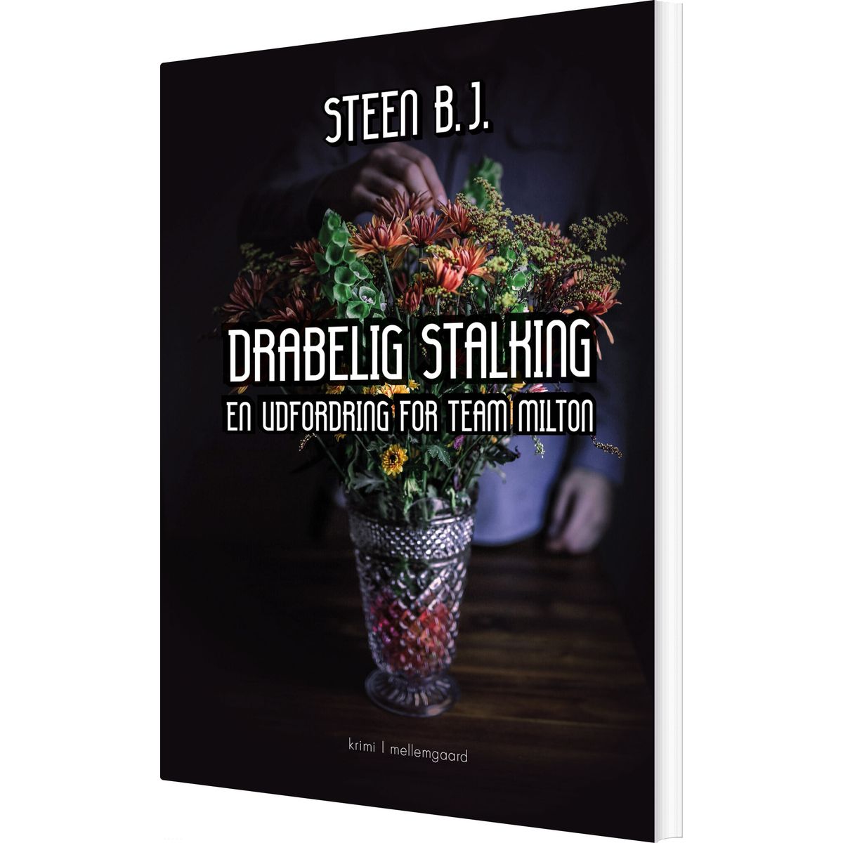 Drabelig Stalking - Steen B.j - Bog