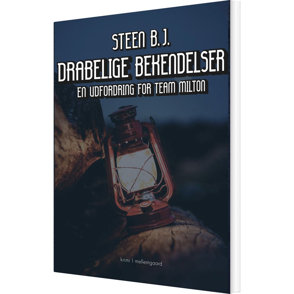 Drabelige Bekendelser - Steen B.j - Bog