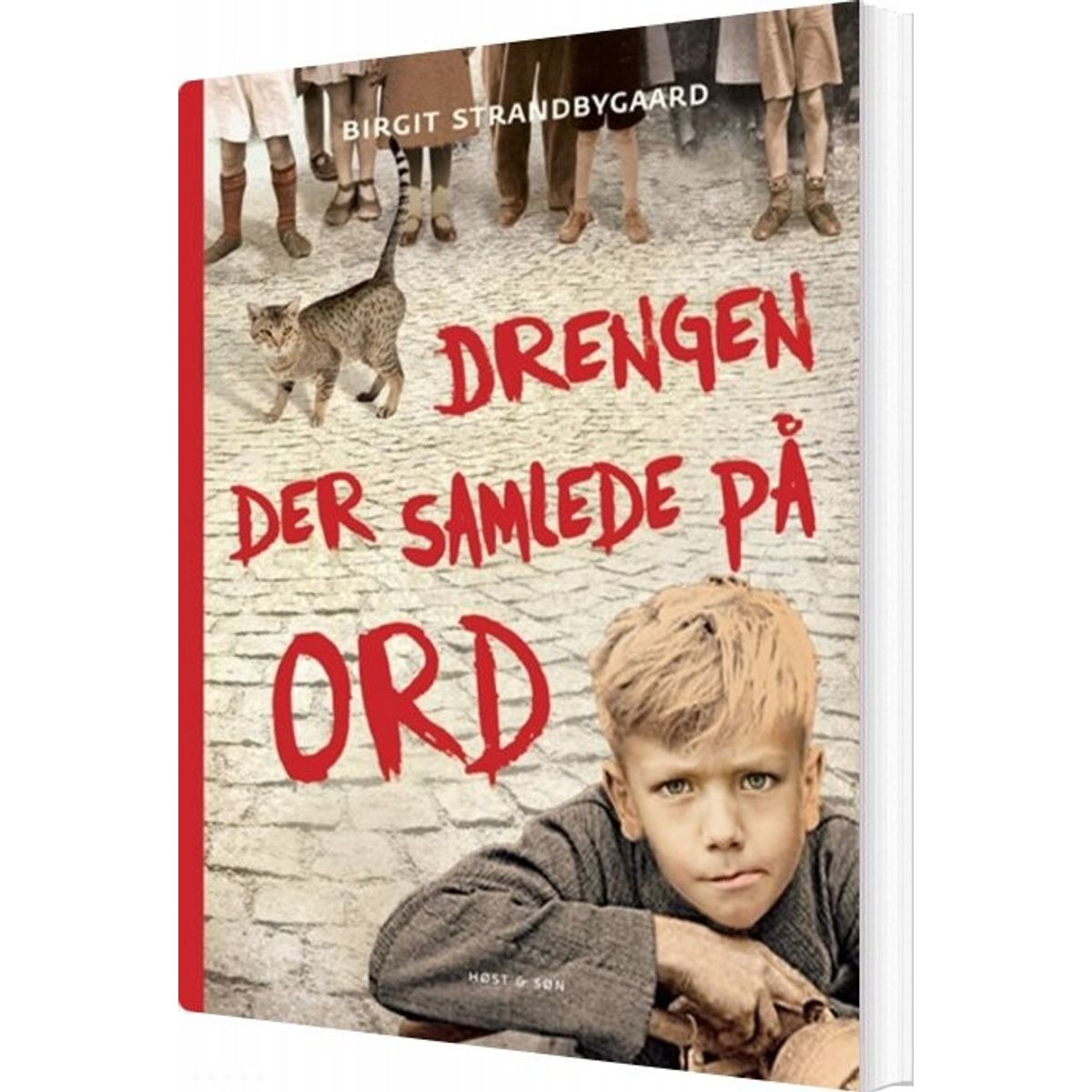 Drengen Der Samlede På Ord - Birgit Strandbygaard - Bog