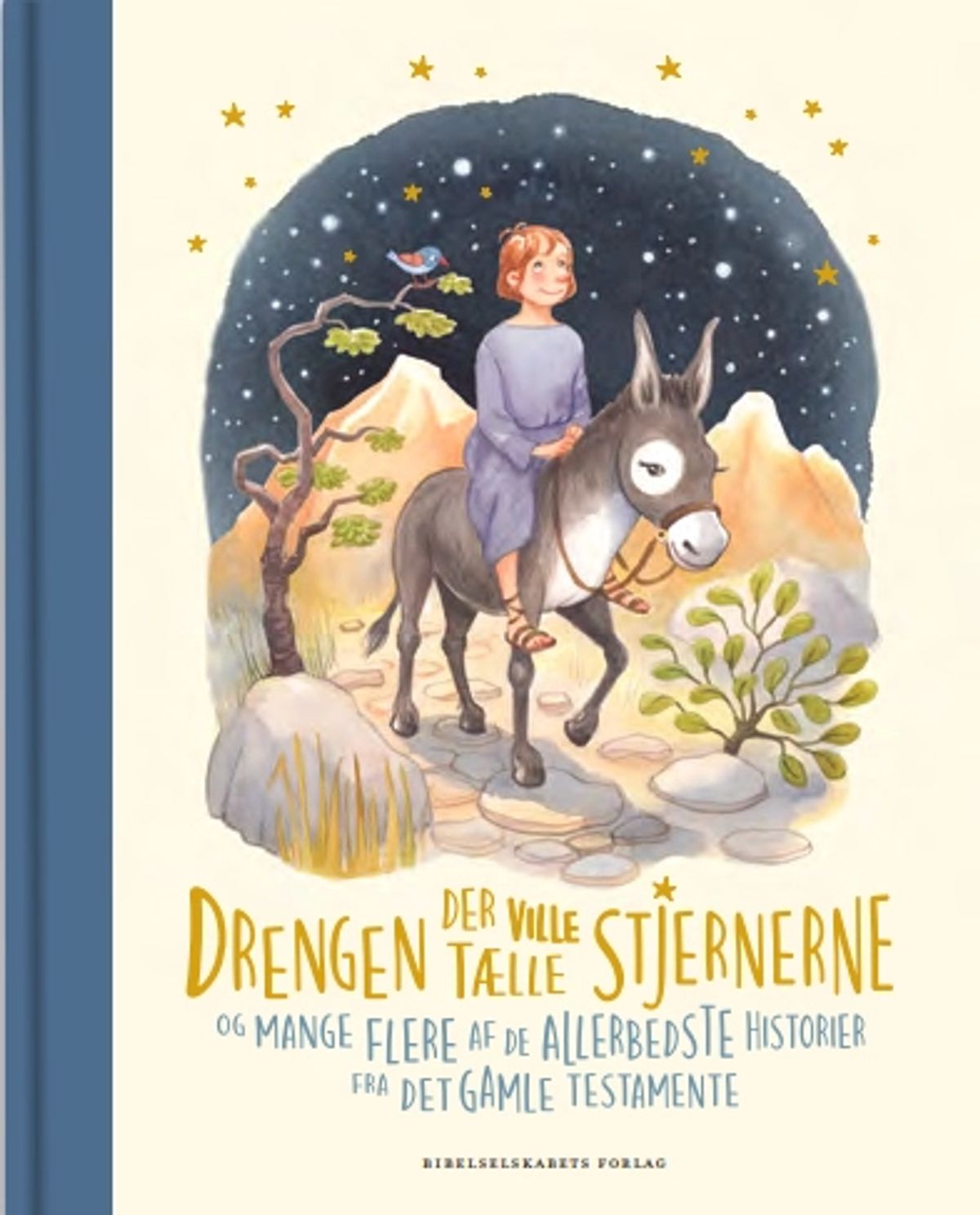 Drengen der ville tælle stjernerne