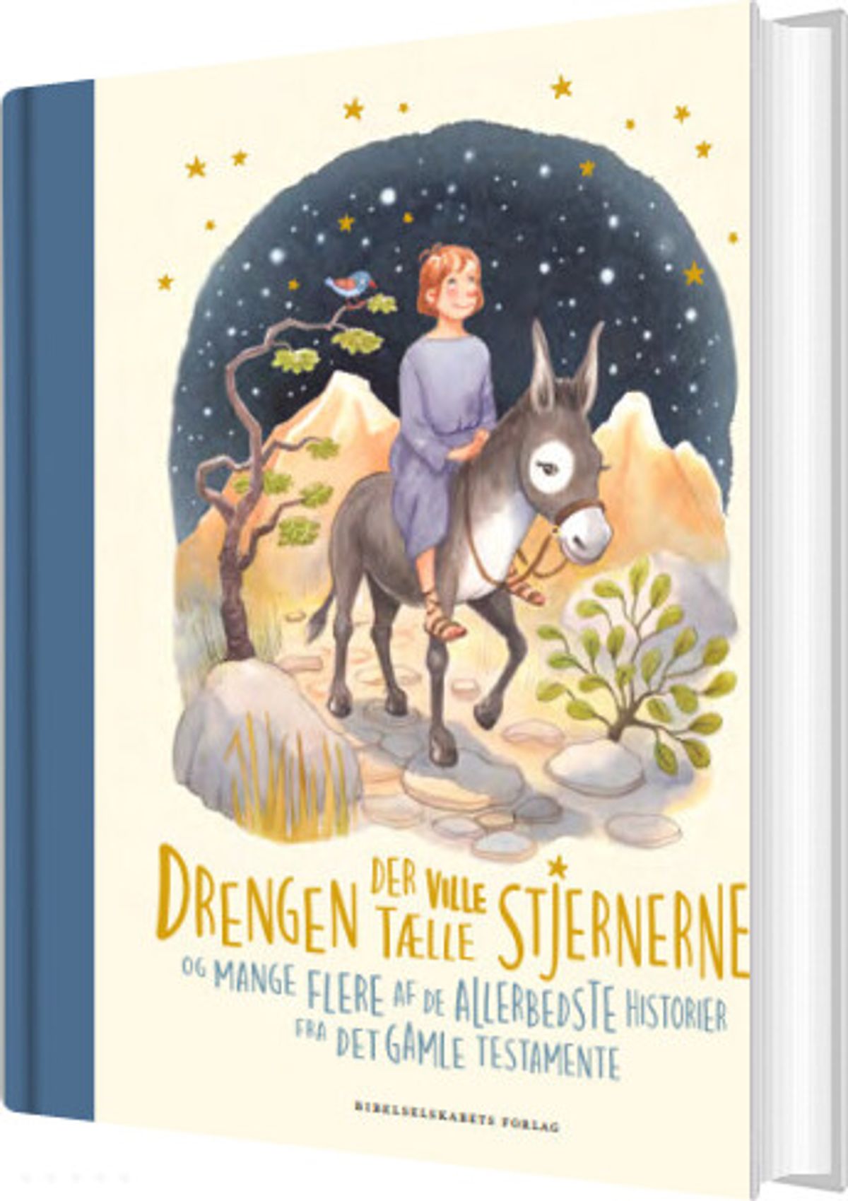 Drengen Der Ville Tælle Stjernerne - Louise Langhoff Koch - Bog