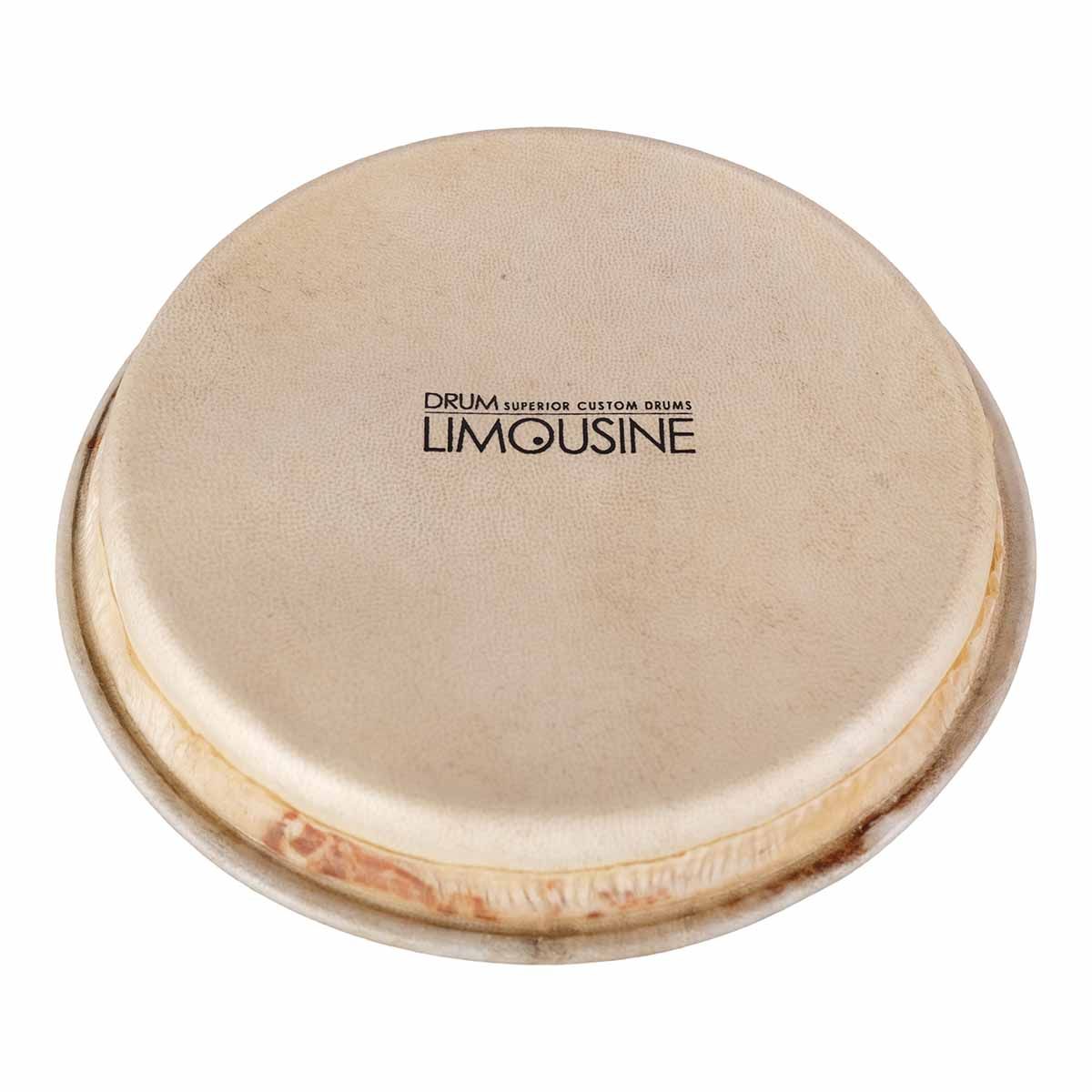 Drum Limousine TD-HEAD5 skind til Traditional bongo, 5,5"