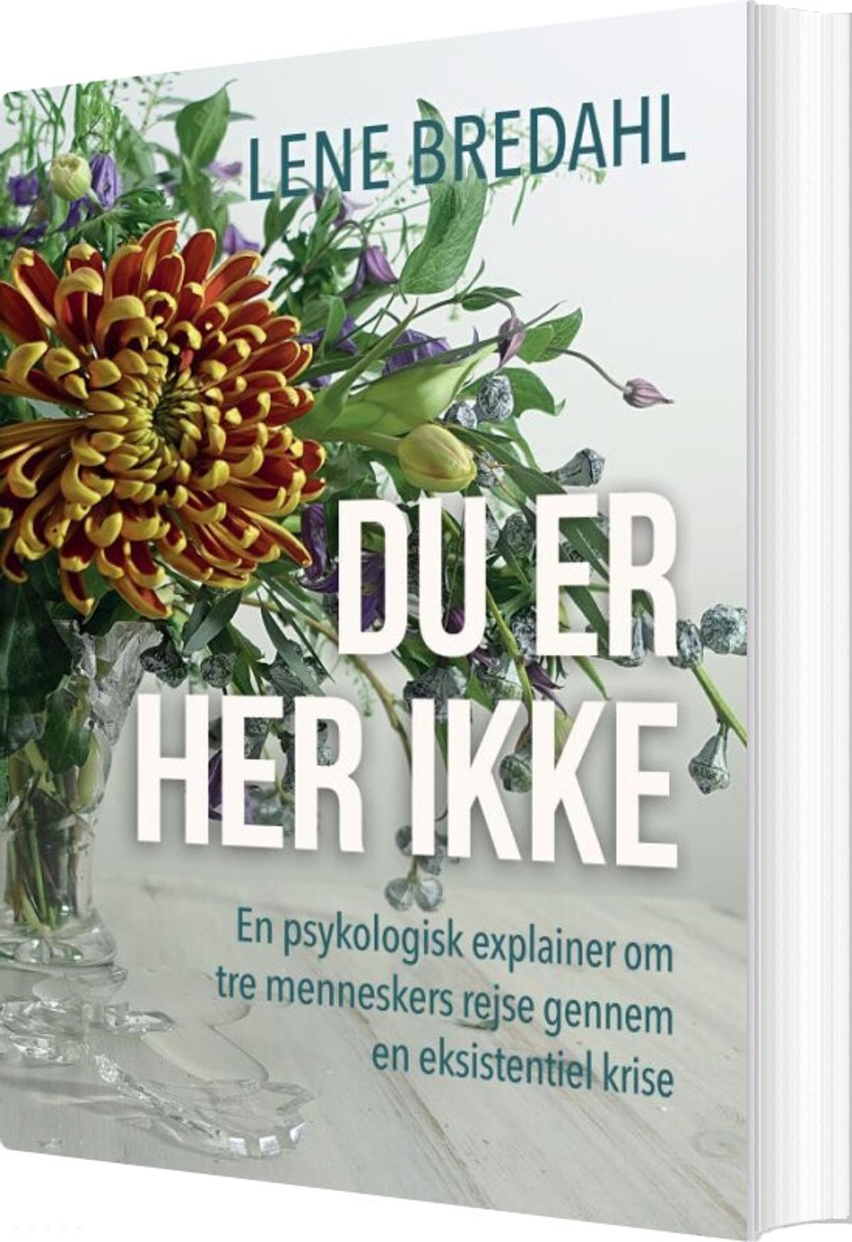 Du Er Her Ikke - Lene Bredahl - Bog