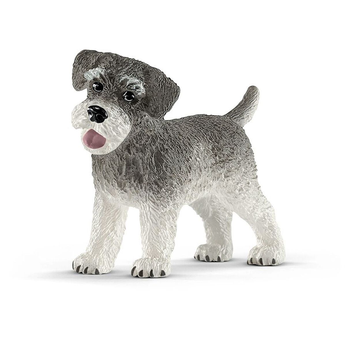 Dværgschnauzer (One size)