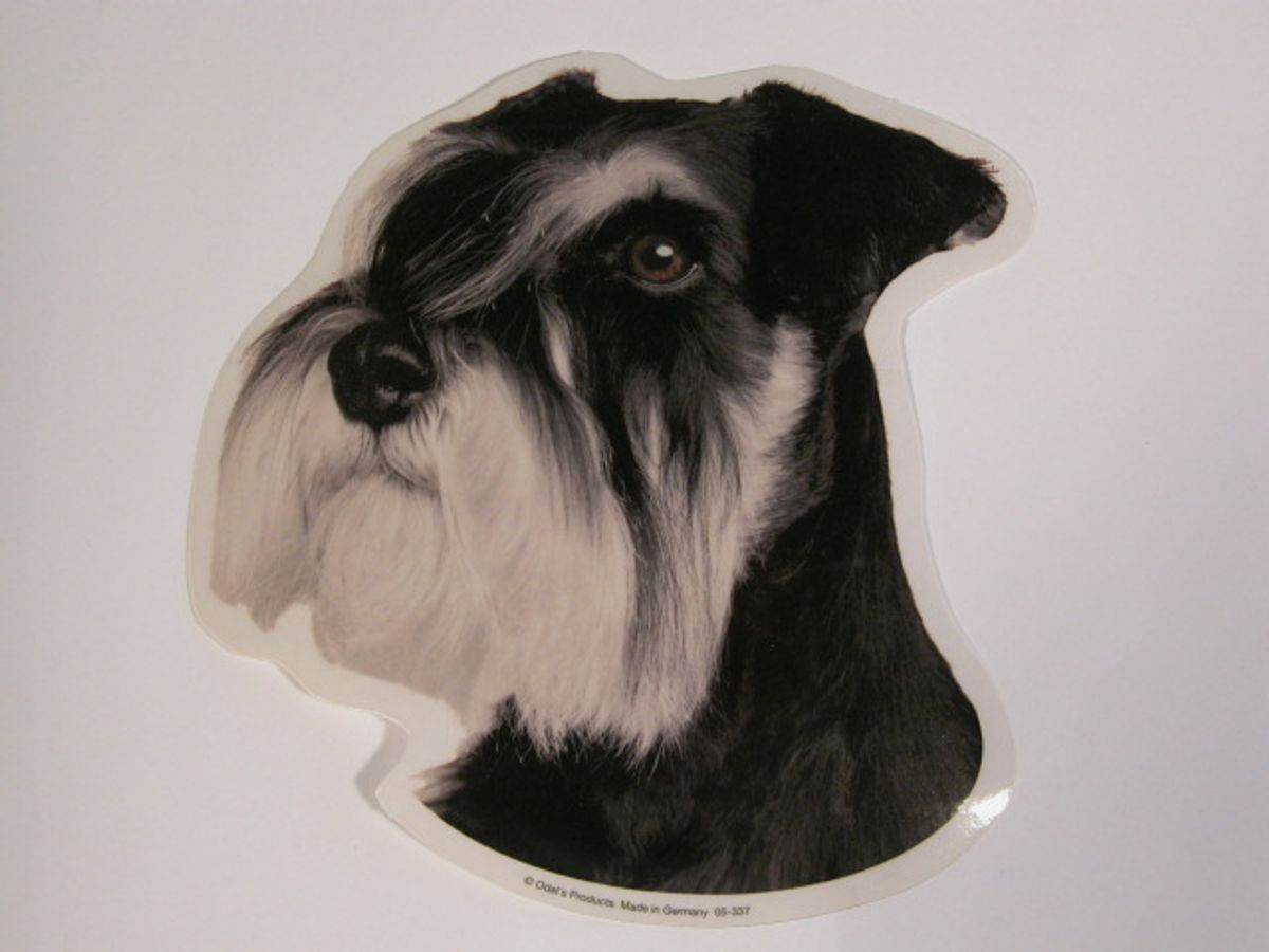 Dværgschnauzer, sort/sølv. Vælg: klistermærke, nøglering, broche, slipsenål, mm