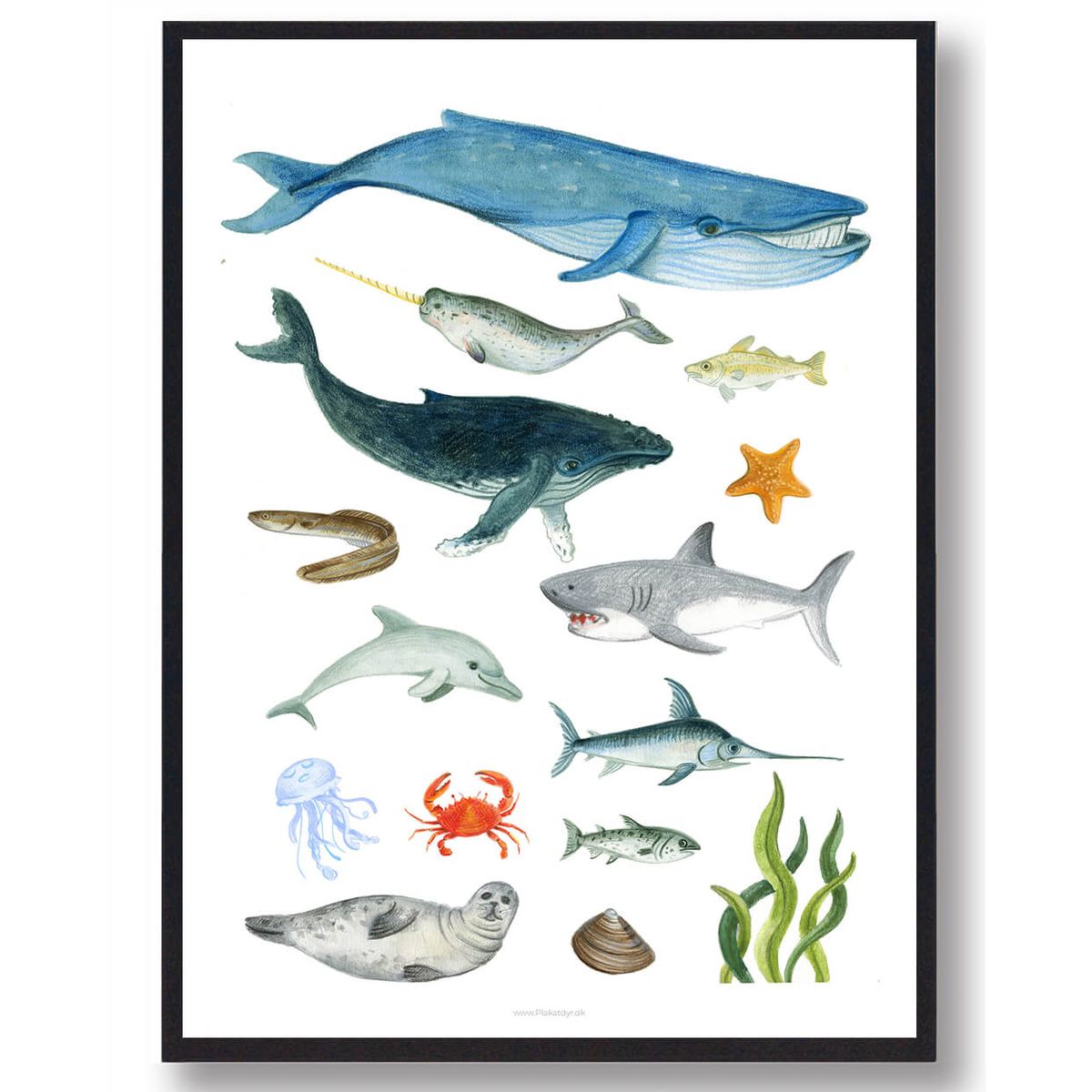 Dyr i havet håndtegnet plakat (Størrelse: L - 50x70cm (B2))