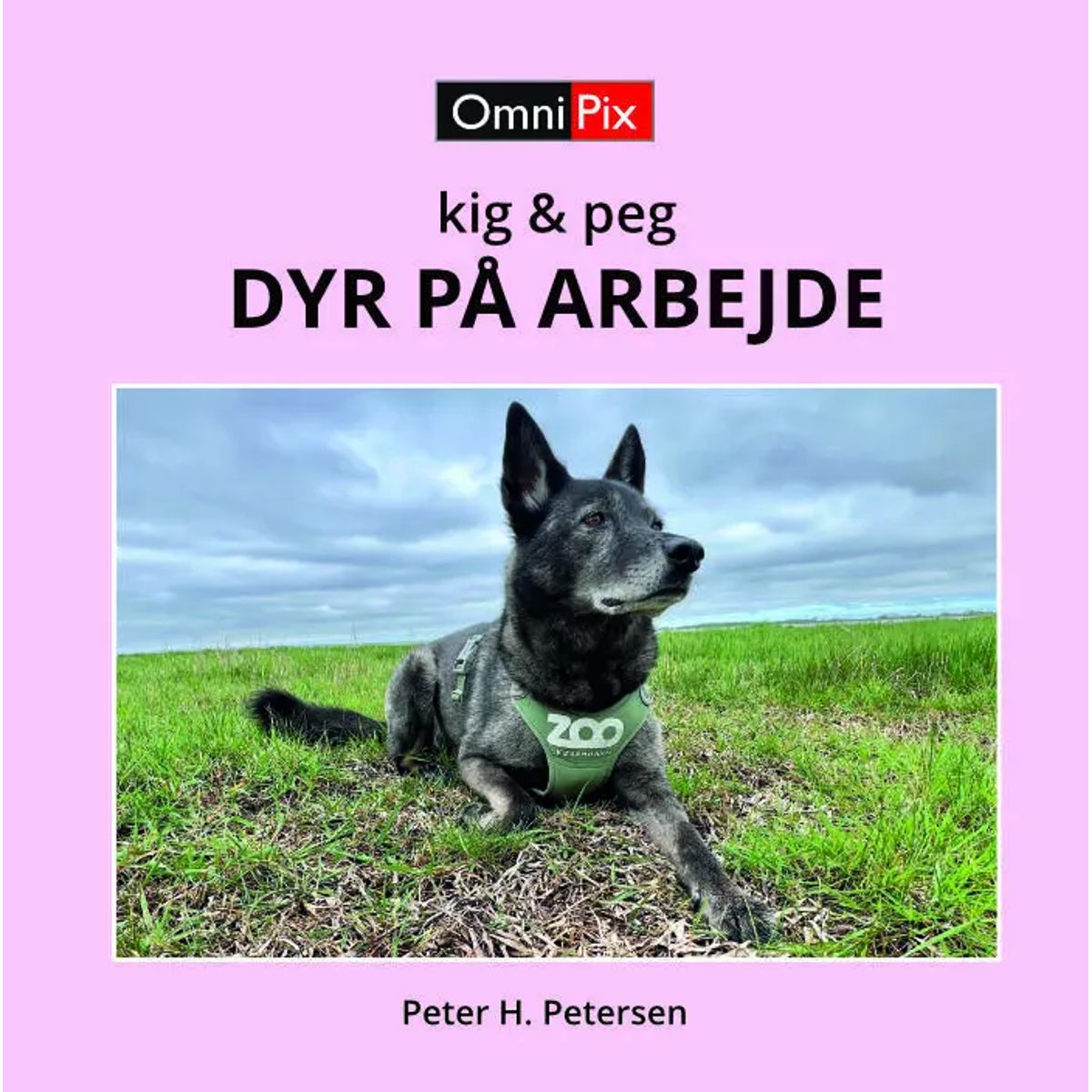 DYR PÅ ARBEJDE