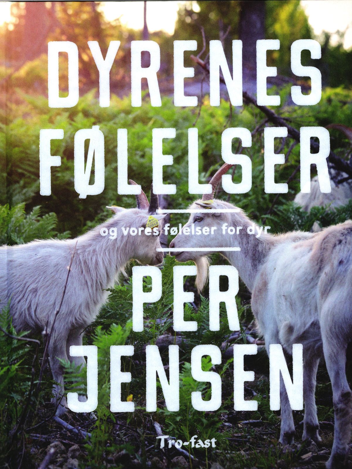 Dyrenes følelser og vores følelser for dyr