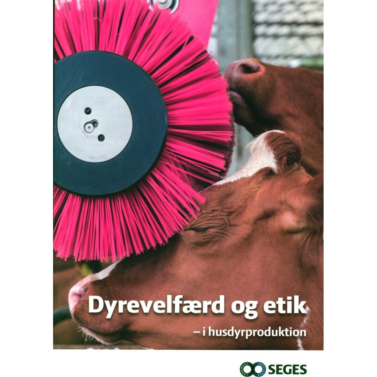 Dyrevelfærd Og Etik - I Husdyrproduktion - Peter Sandøe - Bog