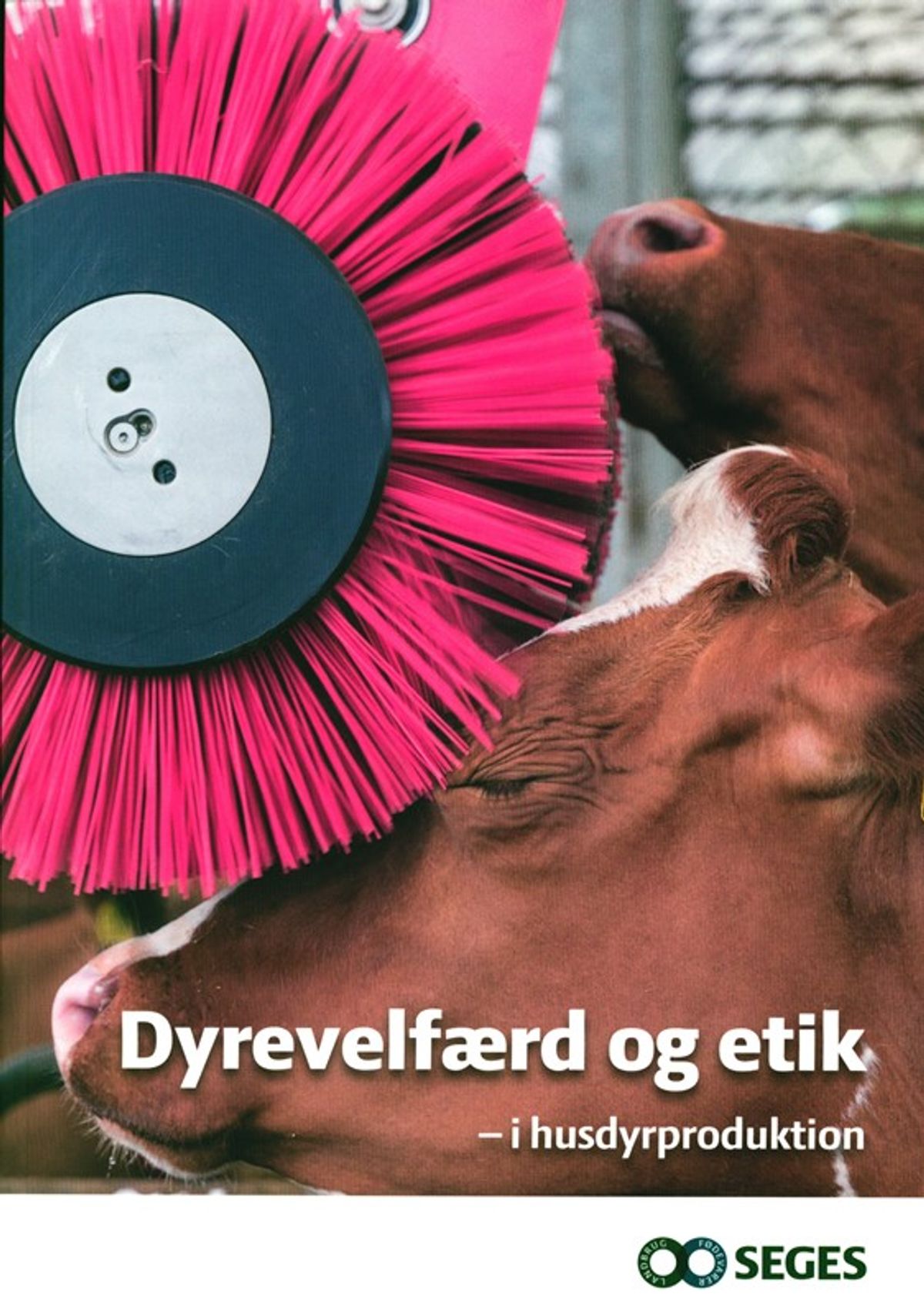 Dyrevelfærd og etik - i husdyrproduktion