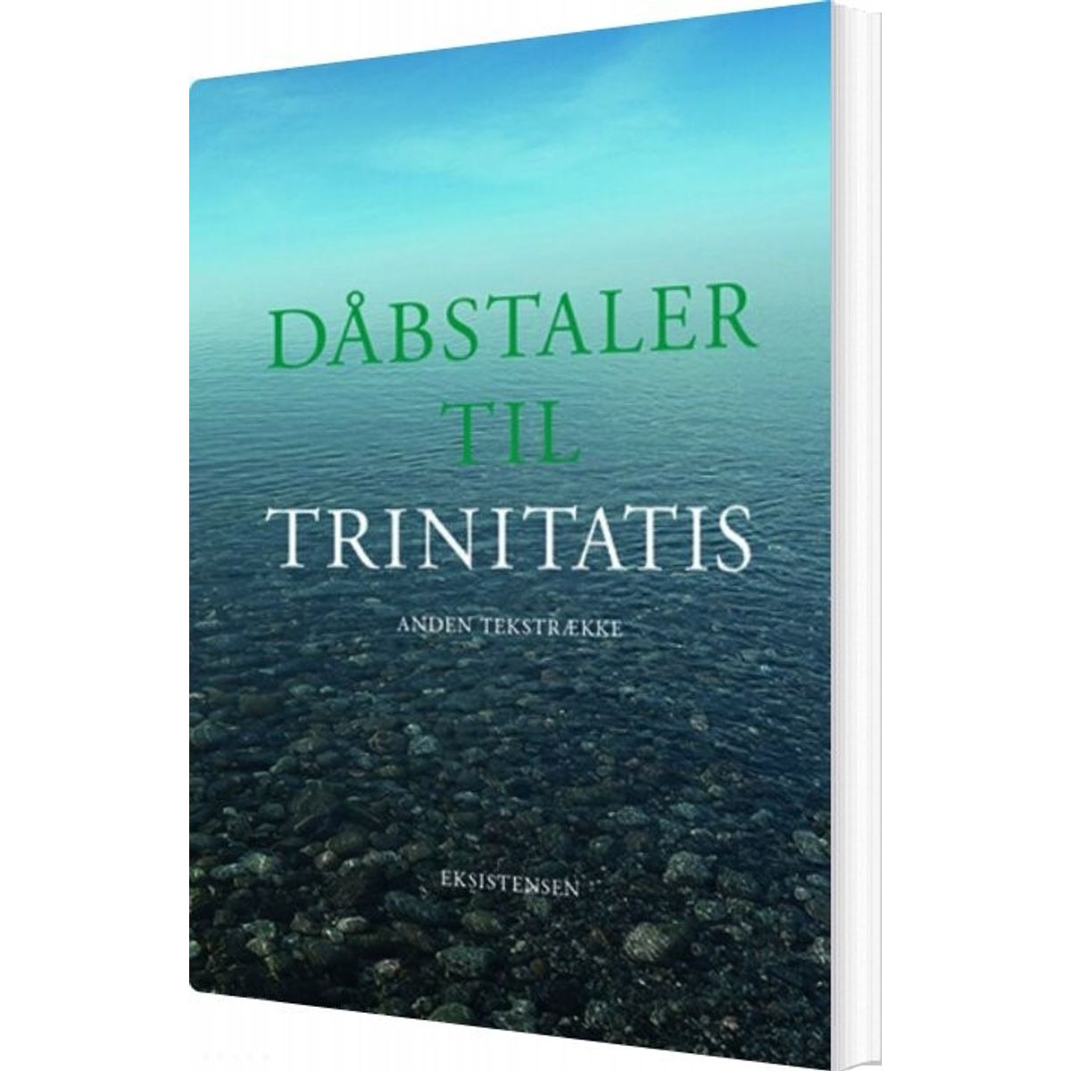 Dåbstaler Til Trinitatis - Mads Davidsen - Bog