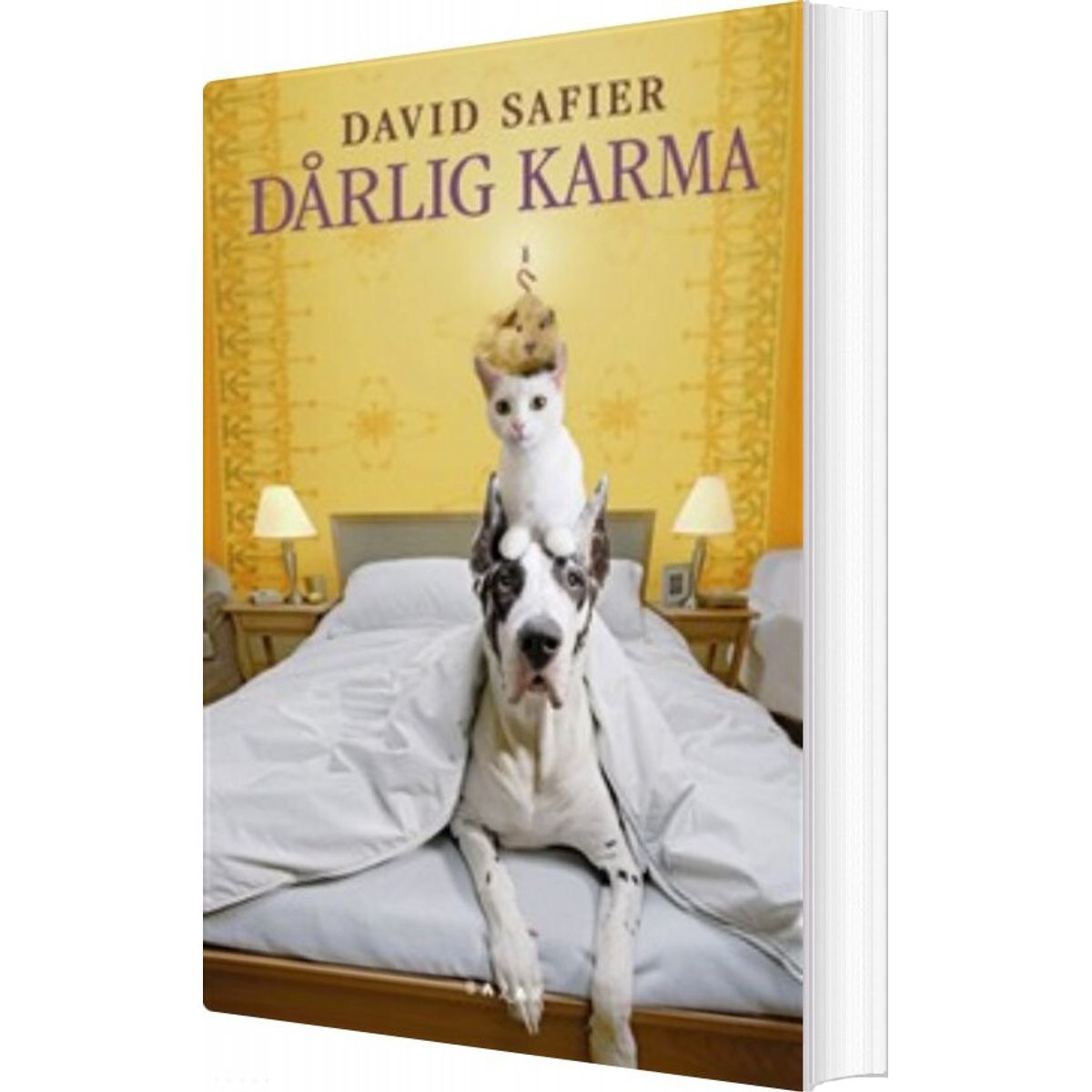 Dårlig Karma - David Safier - Bog