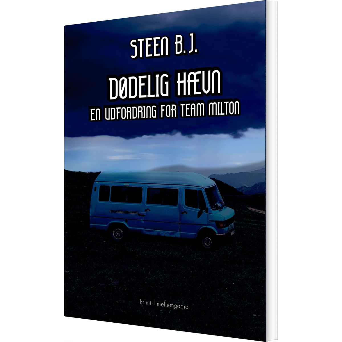 Dødelig Hævn - Steen B.j - Bog