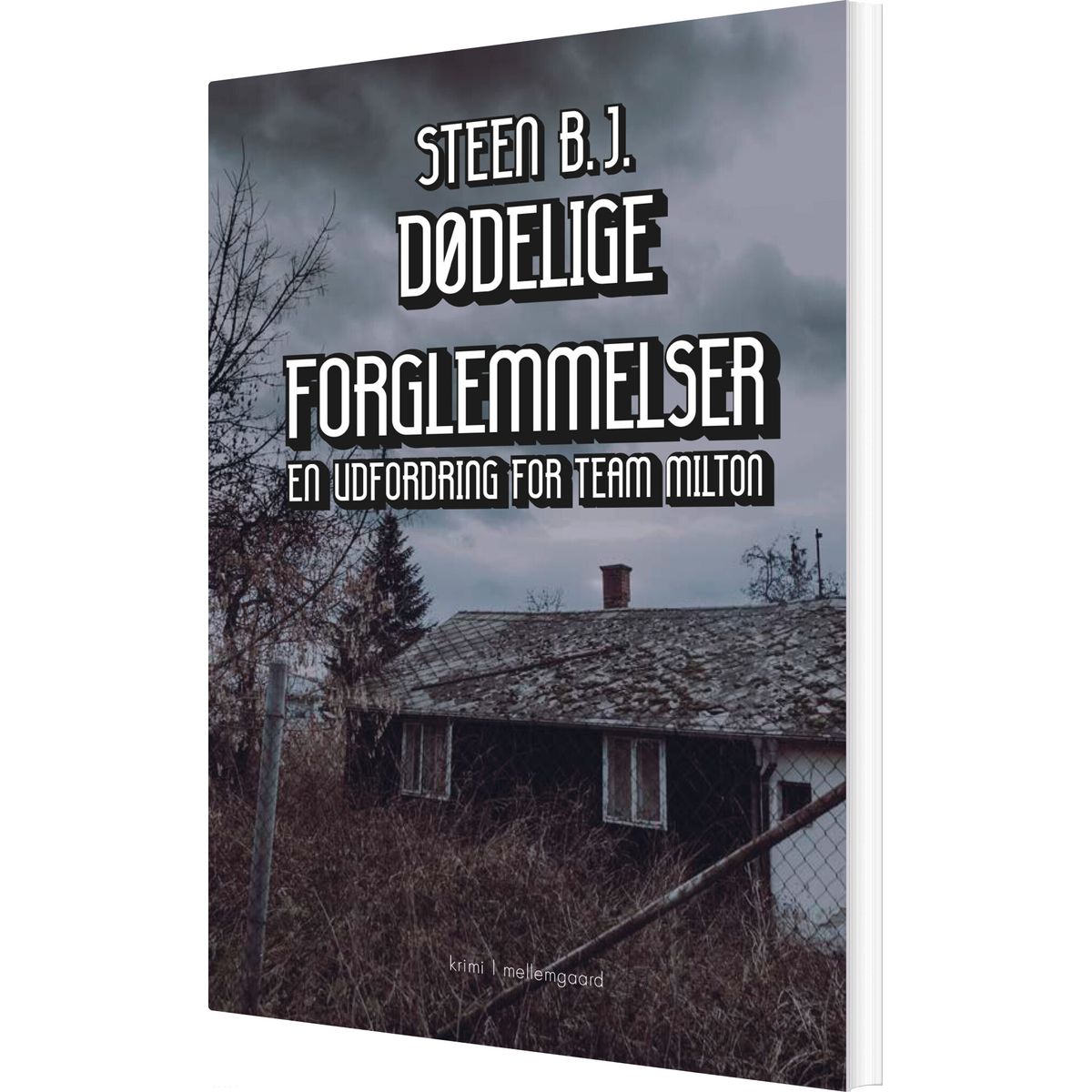 Dødelige Forglemmelser - Steen B.j - Bog