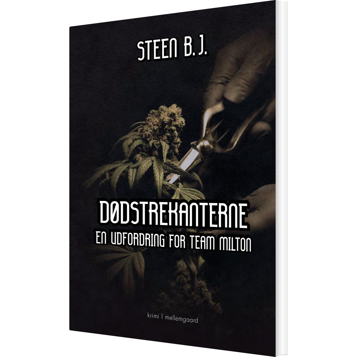 Dødstrekanterne - Steen B.j - Bog