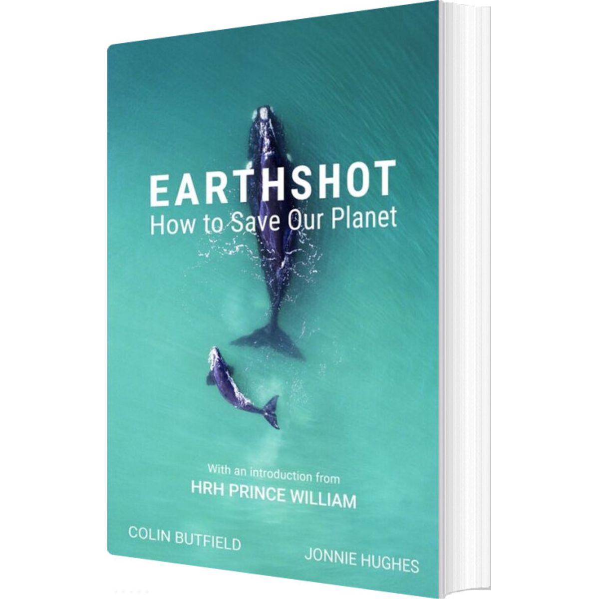 Earthshot: How To Save Our Planet - Colin Butfield - English Book