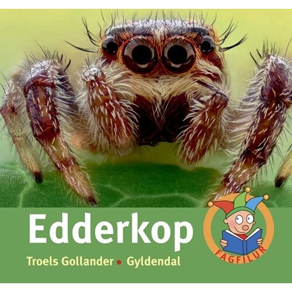 Edderkop - Fagfilur - Troels Gollander - Bog