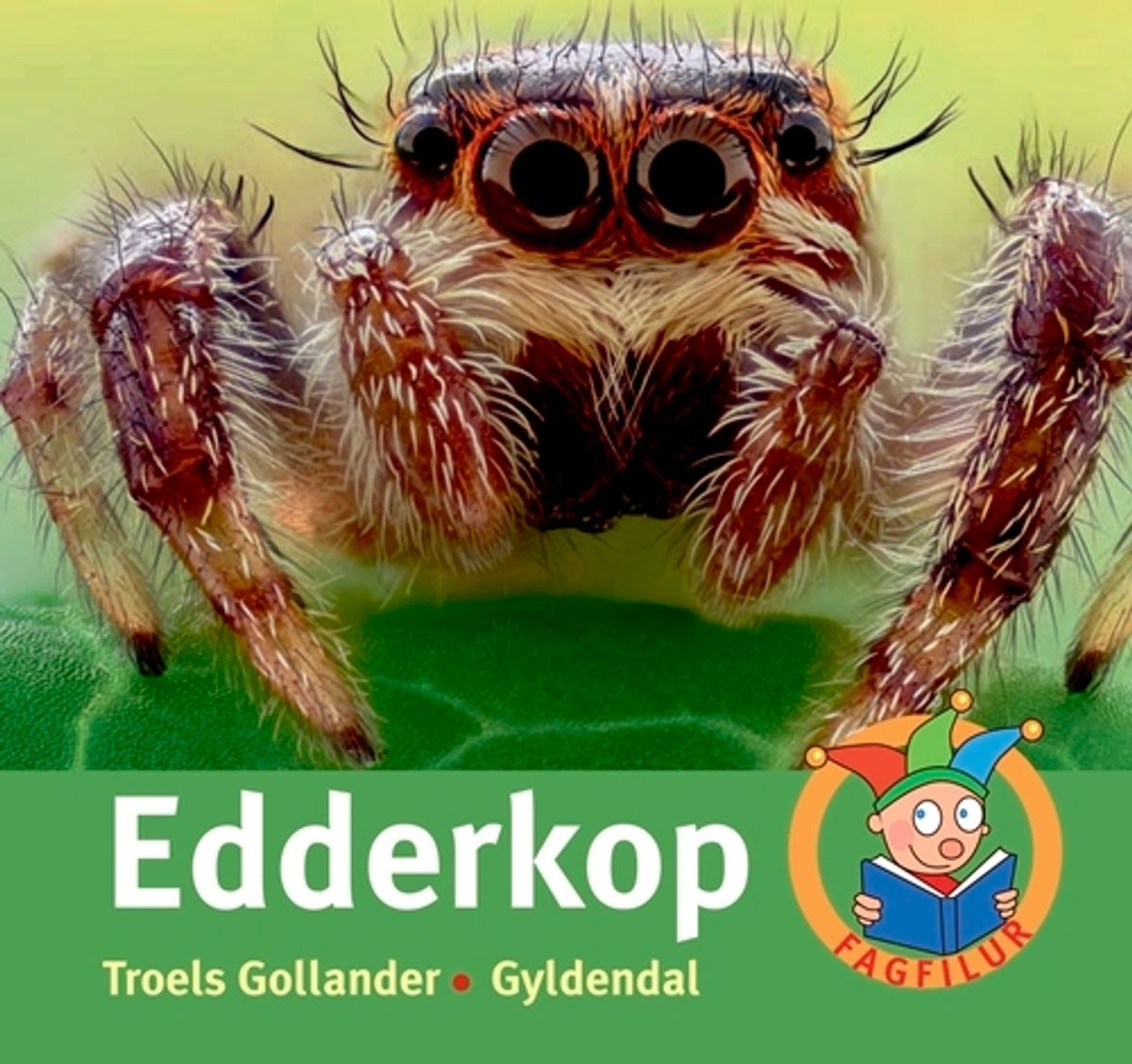 Edderkop