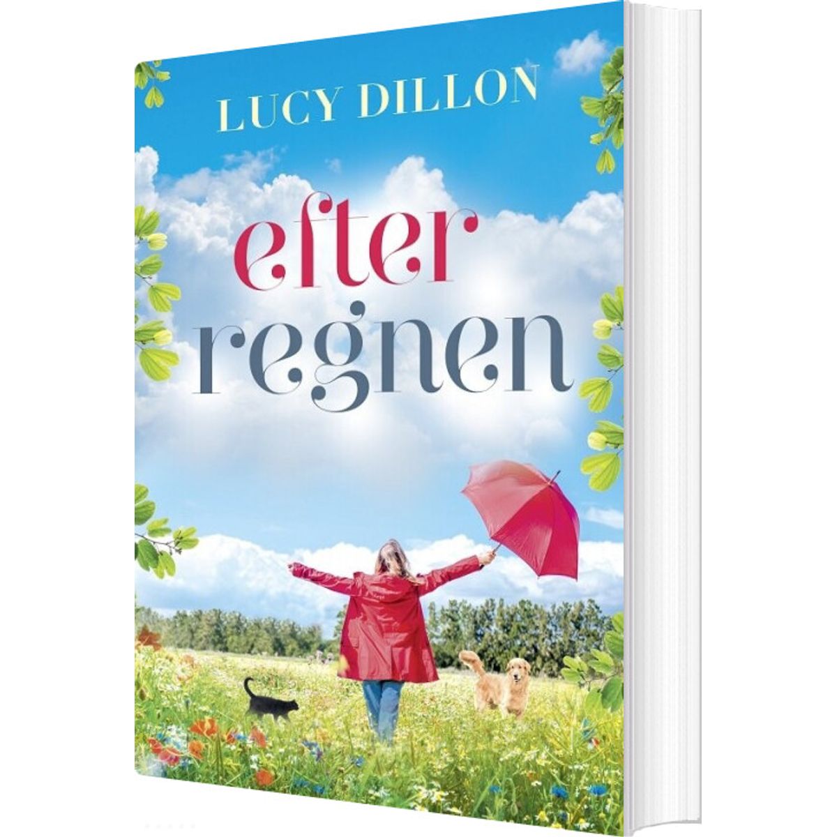 Efter Regnen - Lucy Dillon - Bog