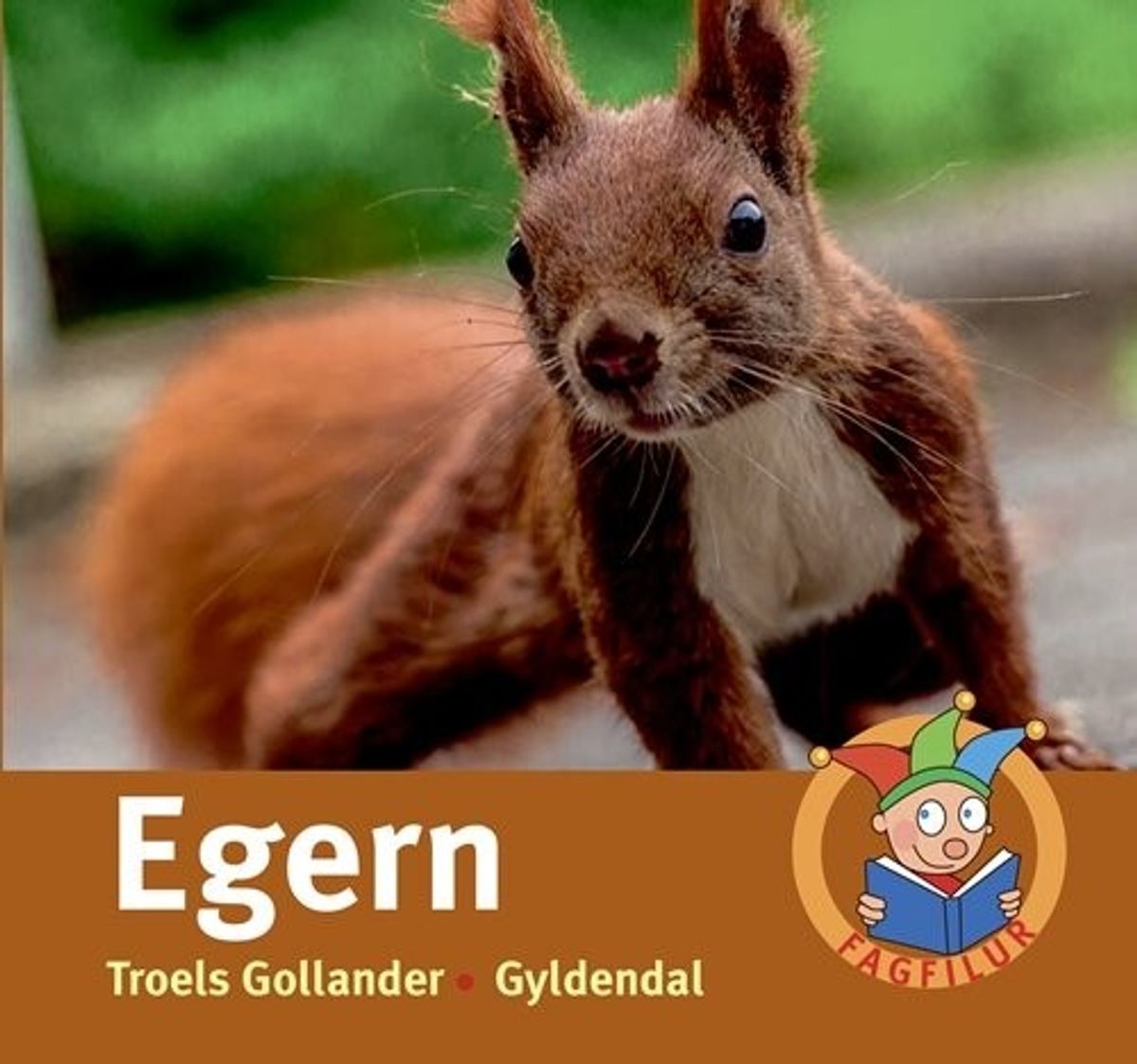 Egern - Fagfilur - Troels Gollander - Bog