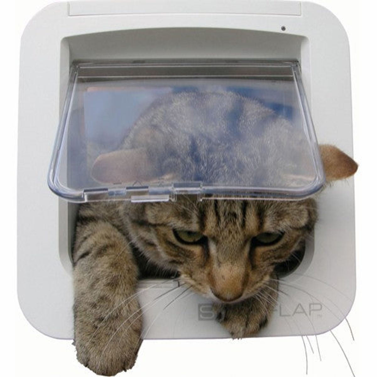 Eldorado - Sureflap Kattelem til Microchip 21x21cm