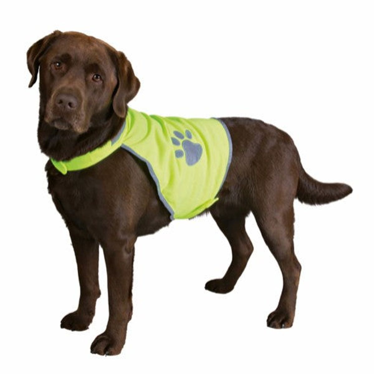 Eldorado - Trixie refleksvest XS-XL sikkerhedsvest til hund - M - Hundetøj