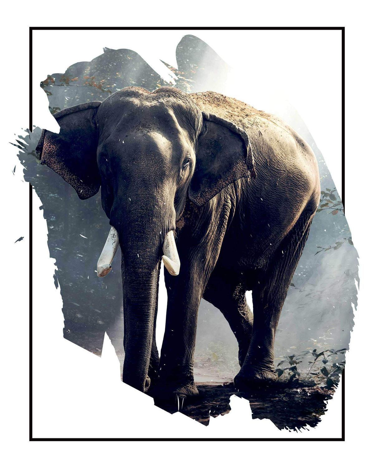 Elefant i skovlysning - Plakat