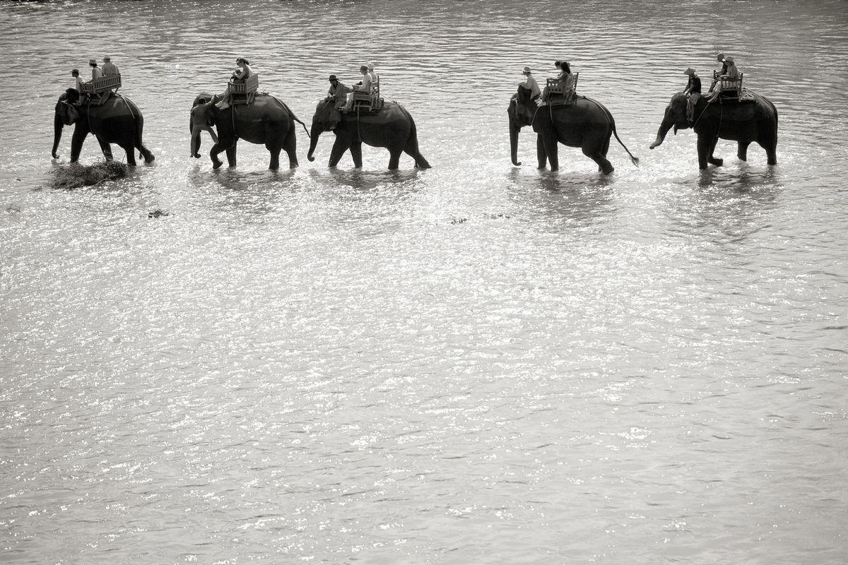 Elephant Ride af Julie Aucoin