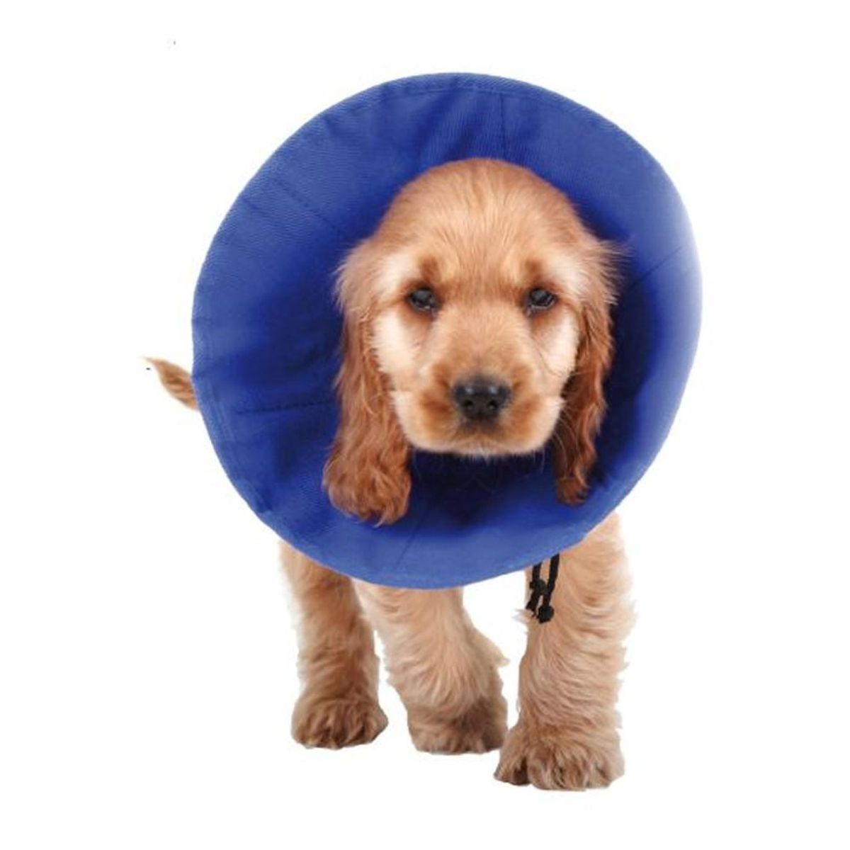 Elizabethan hundehalsbånd KVP EZ Soft Blå (18-38 cm)