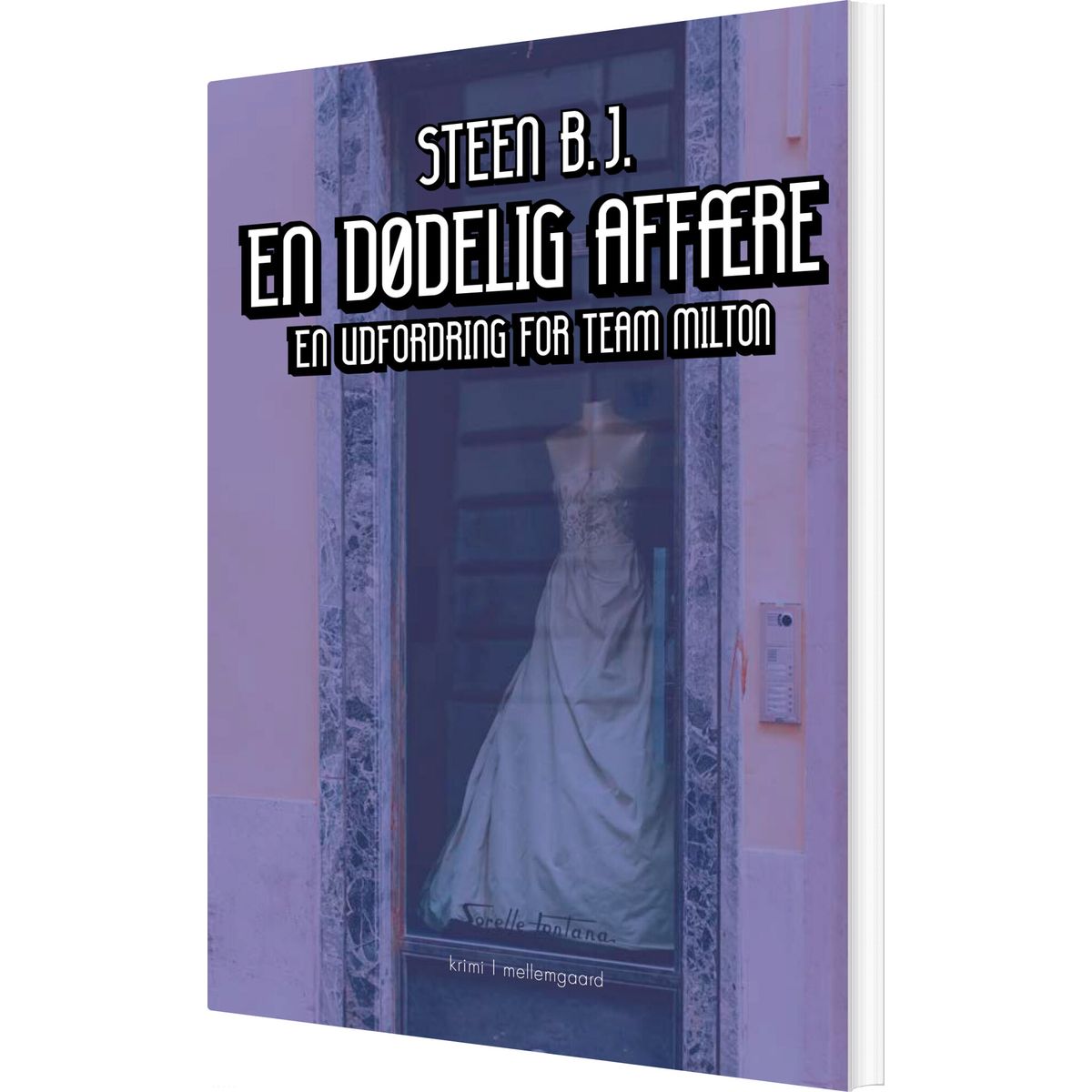 En Dødelig Affære - Steen B.j - Bog