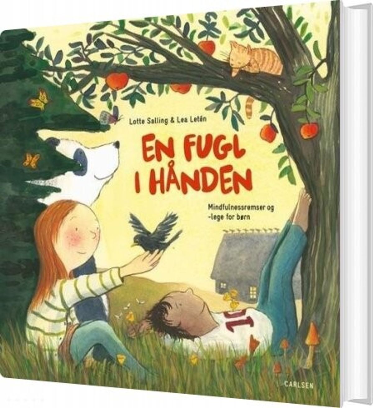 En Fugl I Hånden - Lotte Salling - Bog